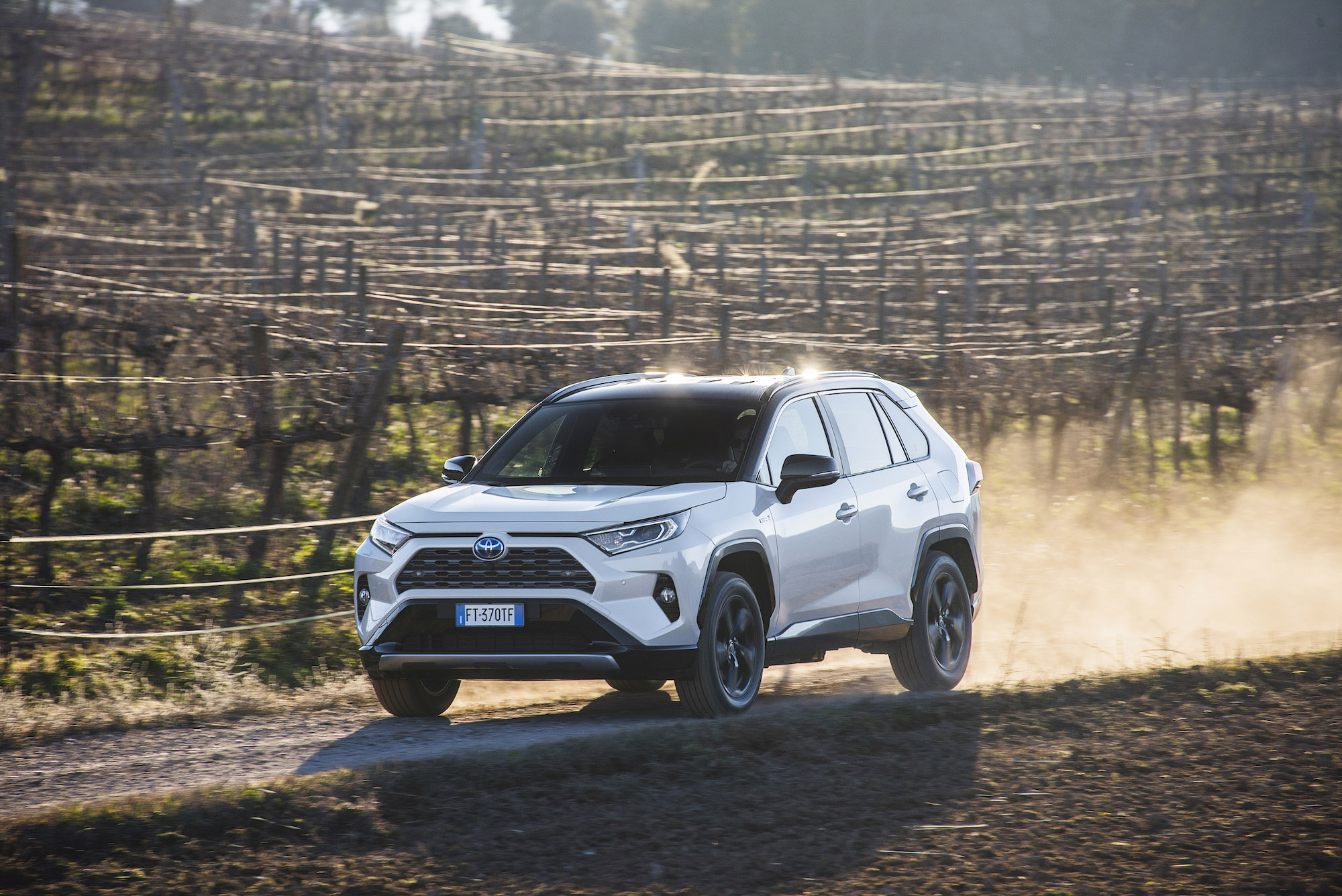 Toyota RAV4 carro híbrido segunda mão