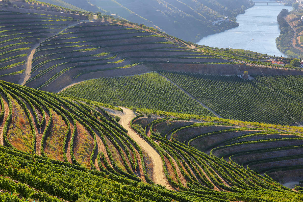 Trilho todo o terreno Douro