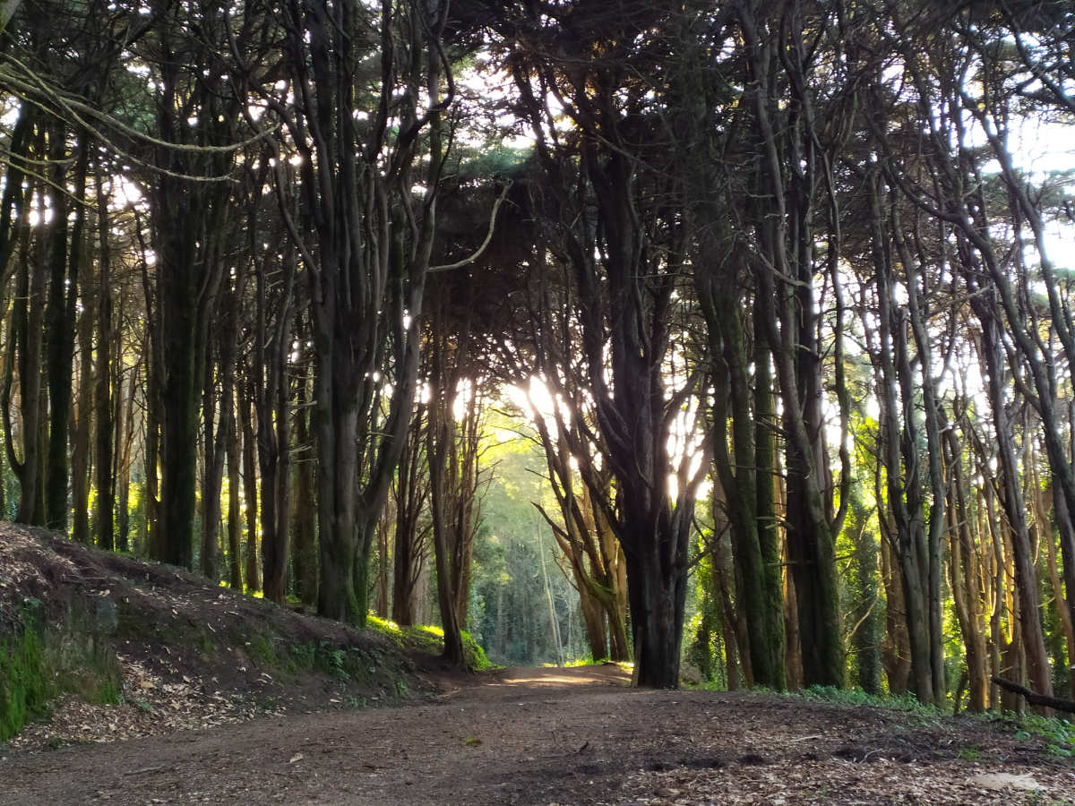 Trilho todo o terreno Sintra