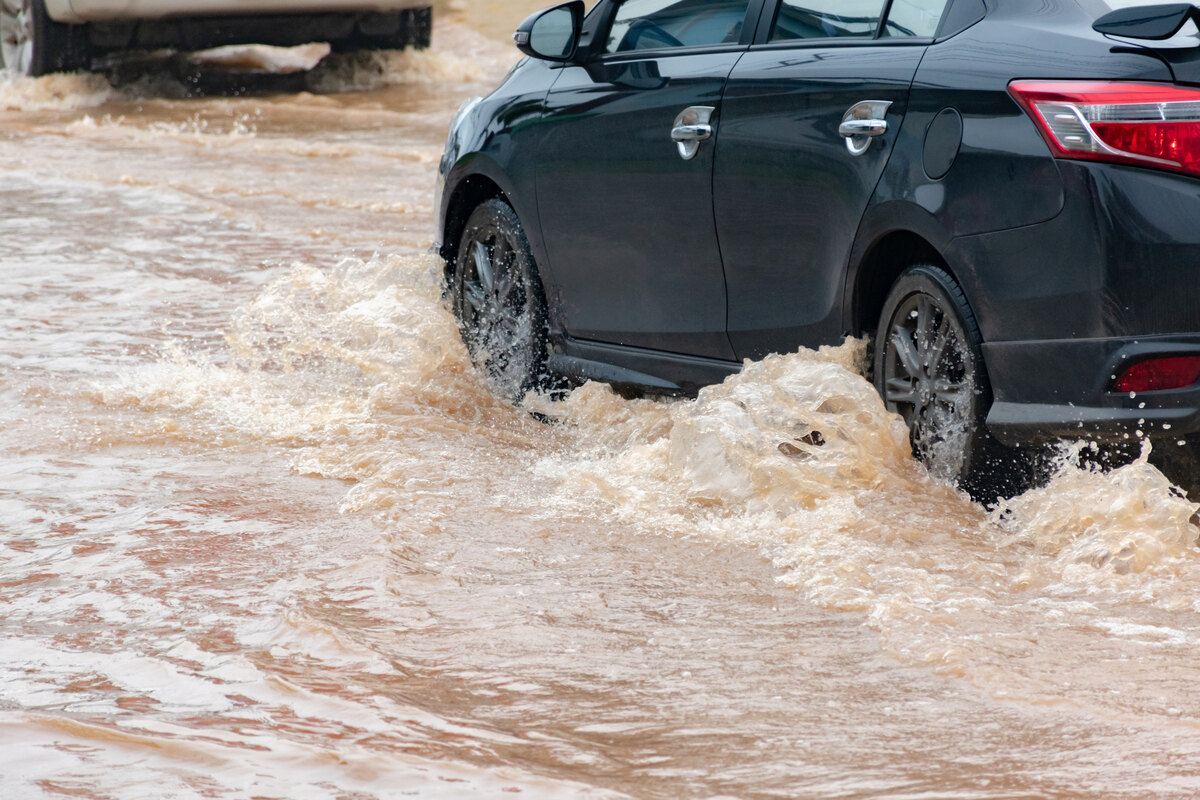 carros inundados ou destruidos por arvores