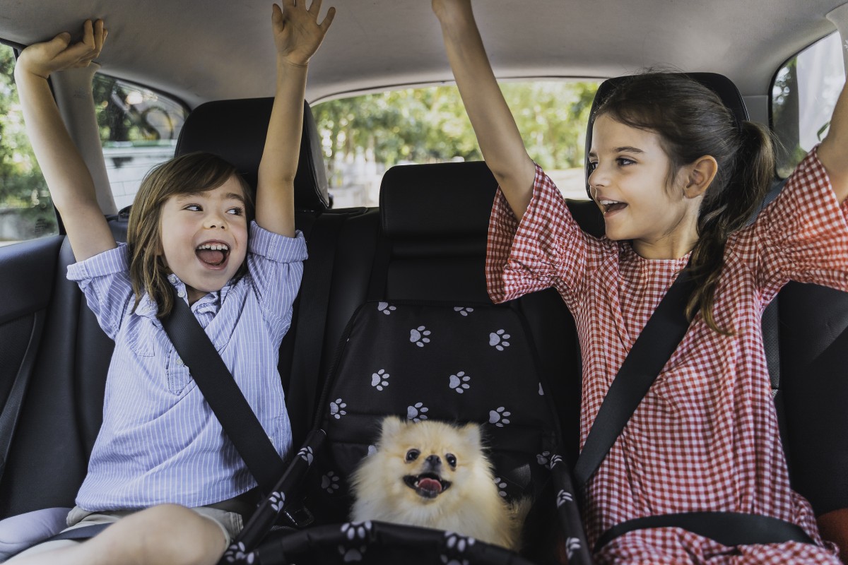 Nunca deixe crianças ou animais no carro, nem por poucos minutos. Saiba porquê.